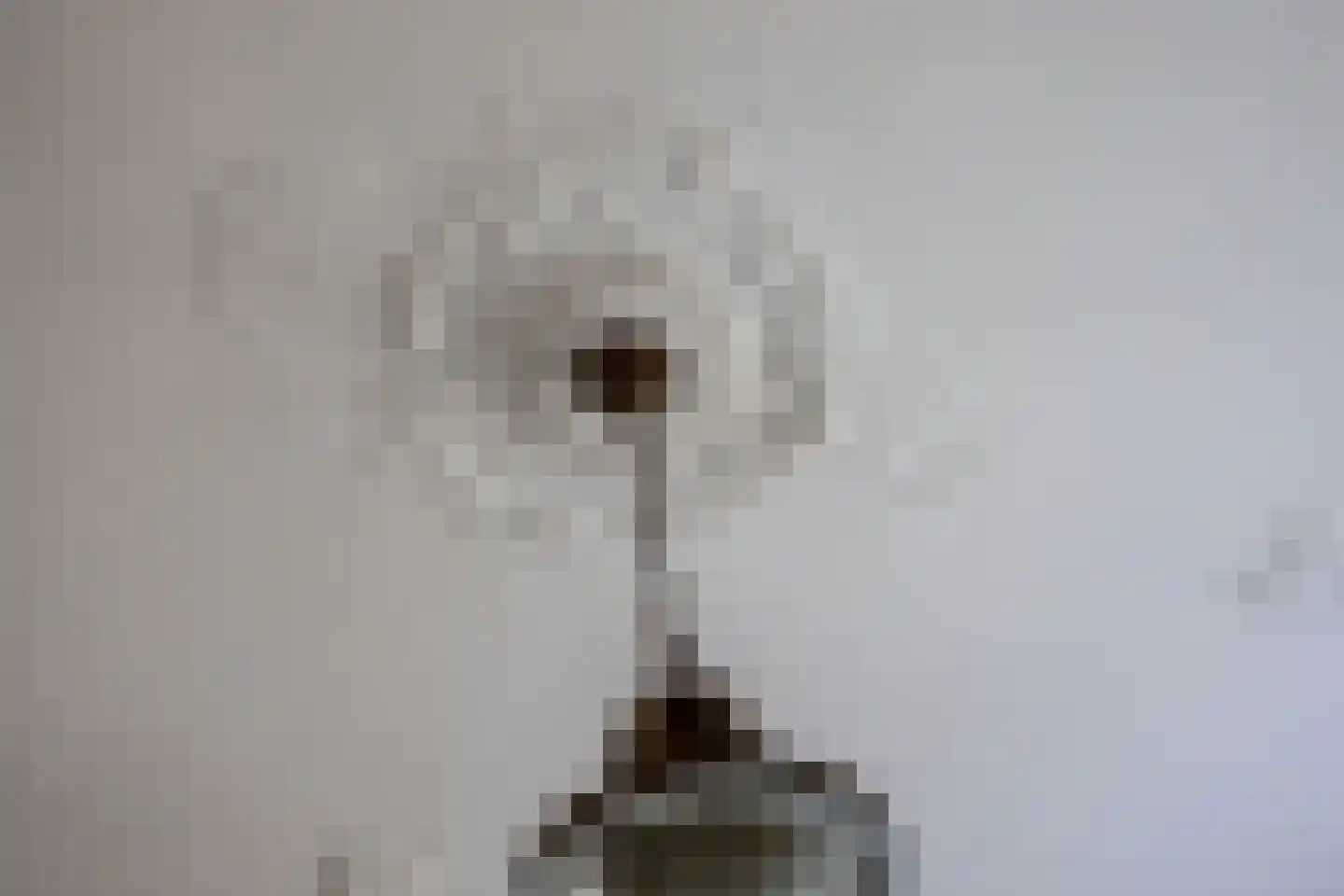 Kerkdwarslaan 7 De Bilt thumbnail 22