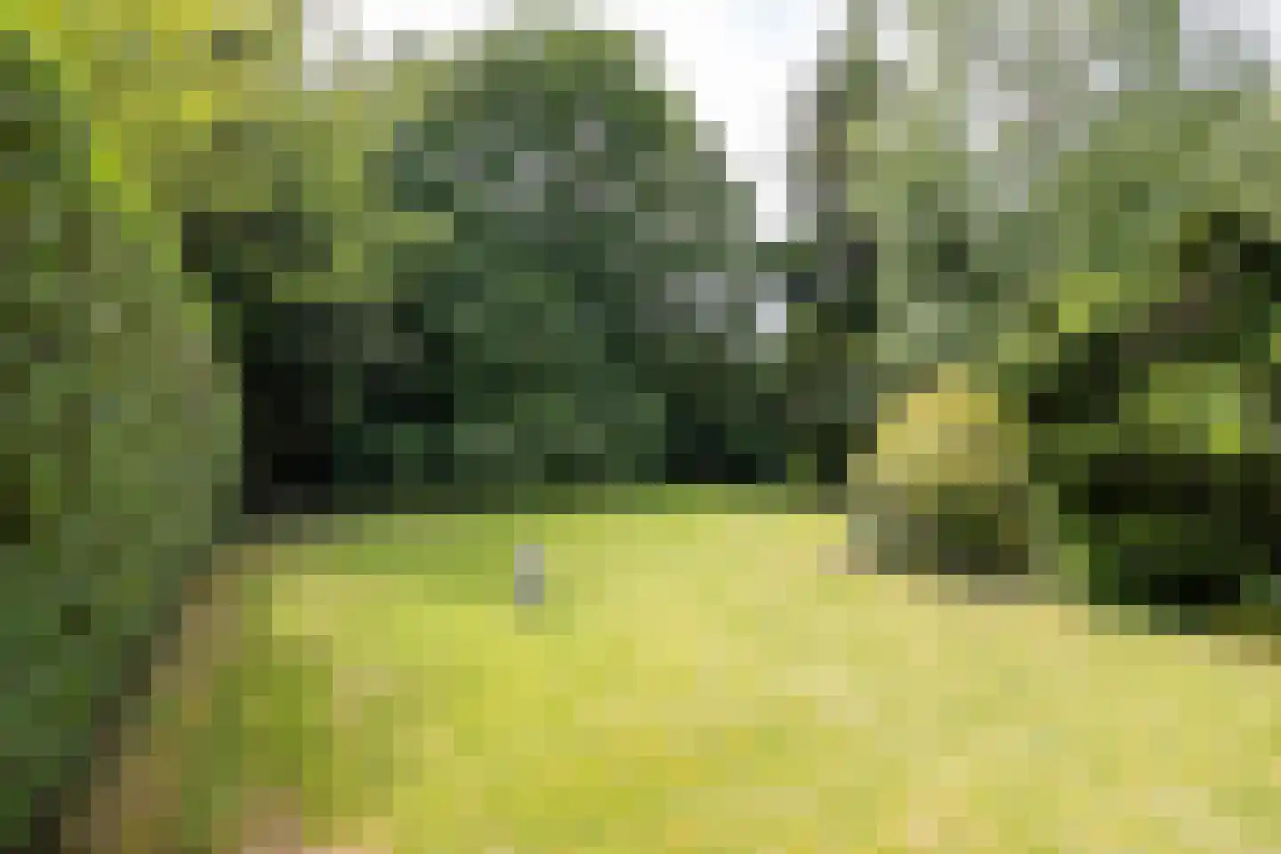 Kerkdwarslaan 7 De Bilt thumbnail 30