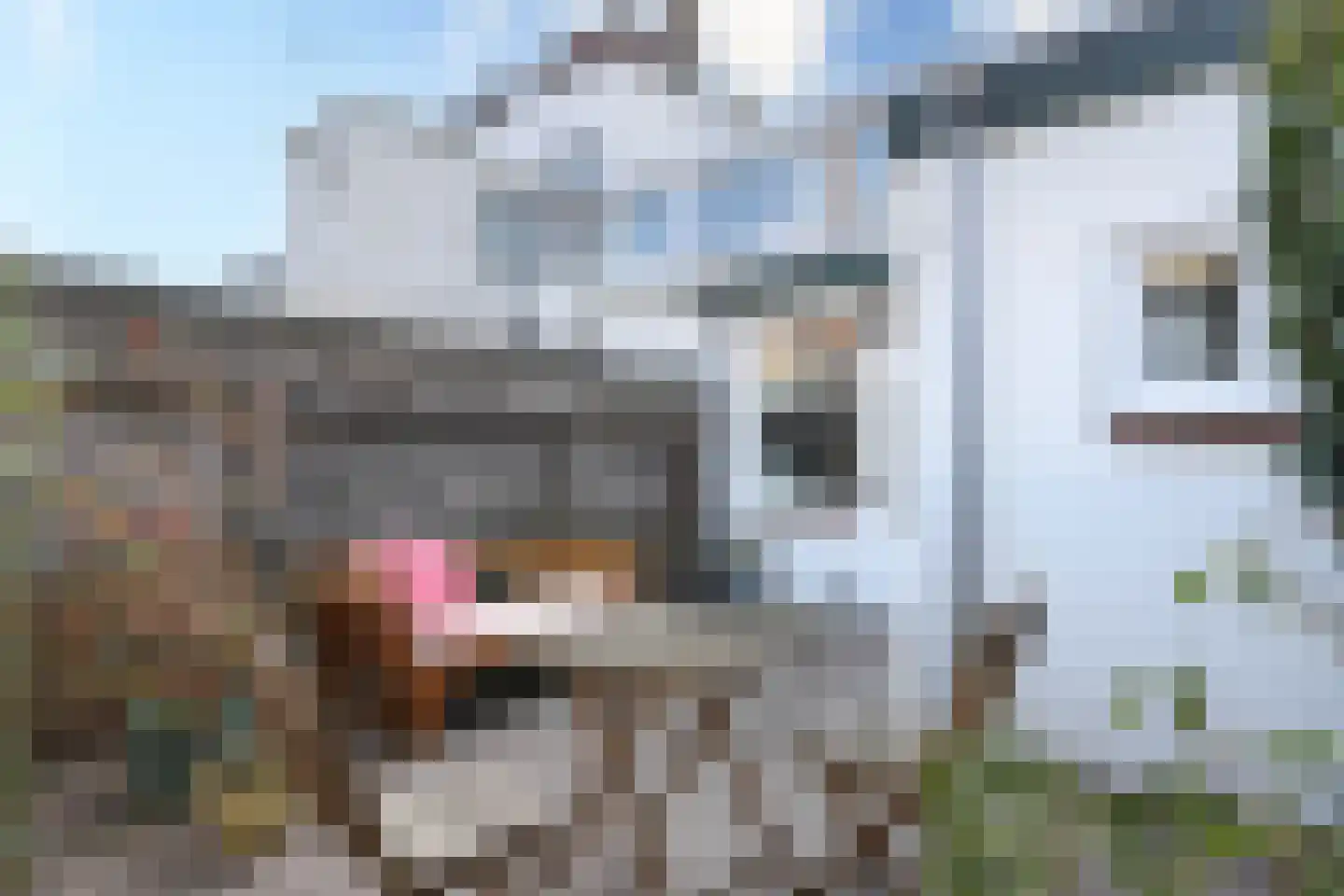 Kerkdwarsstraat 12 Utrecht thumbnail 22