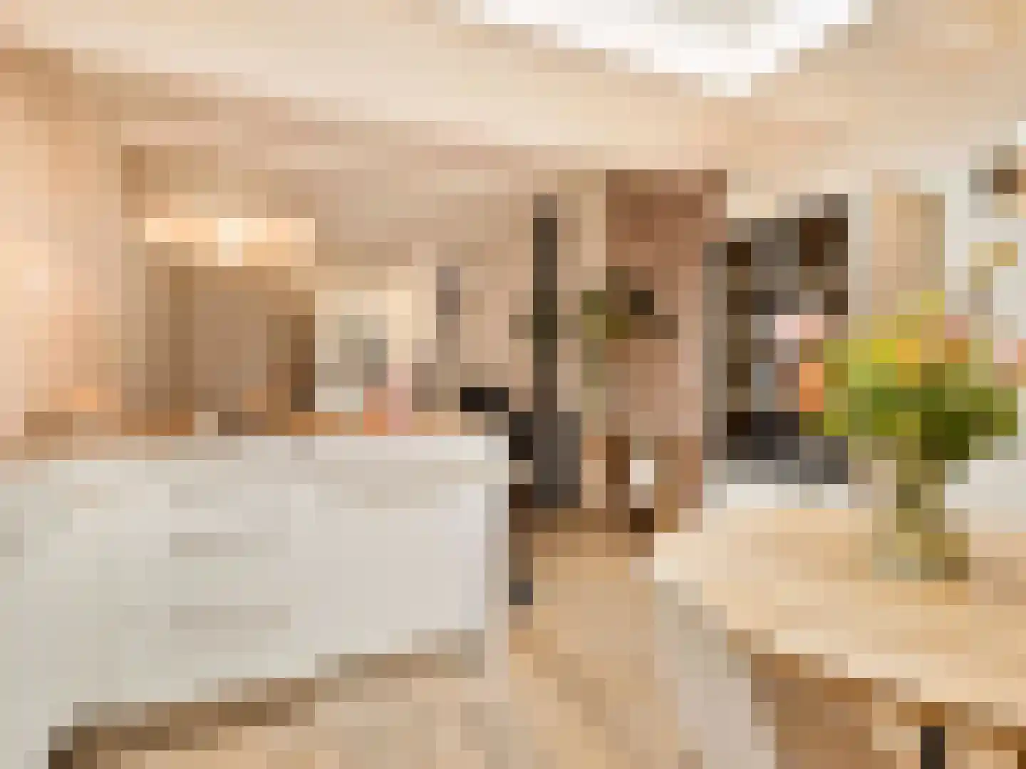 Kerkdwarsstraat 2 Utrecht thumbnail 14