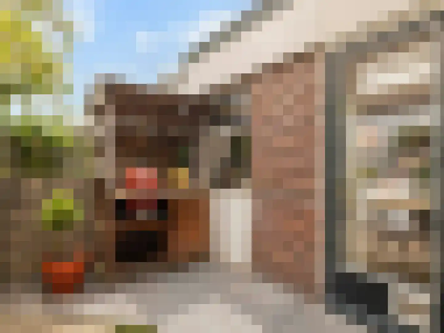 Kerkdwarsstraat 2 Utrecht thumbnail 22