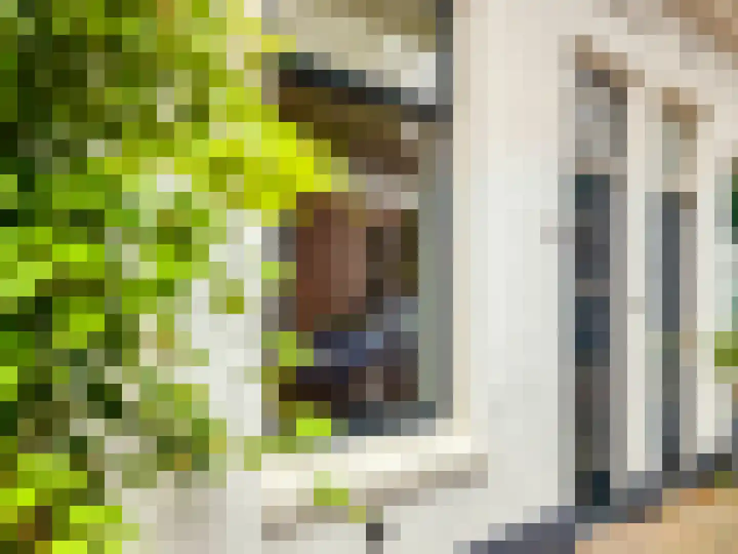 Kerkdwarsstraat 2 Utrecht thumbnail 5