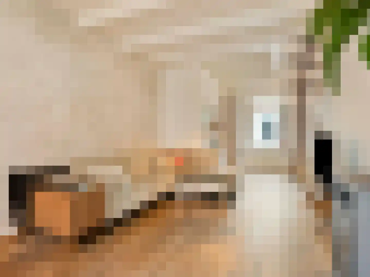 Kerkdwarsstraat 2 Utrecht thumbnail 7