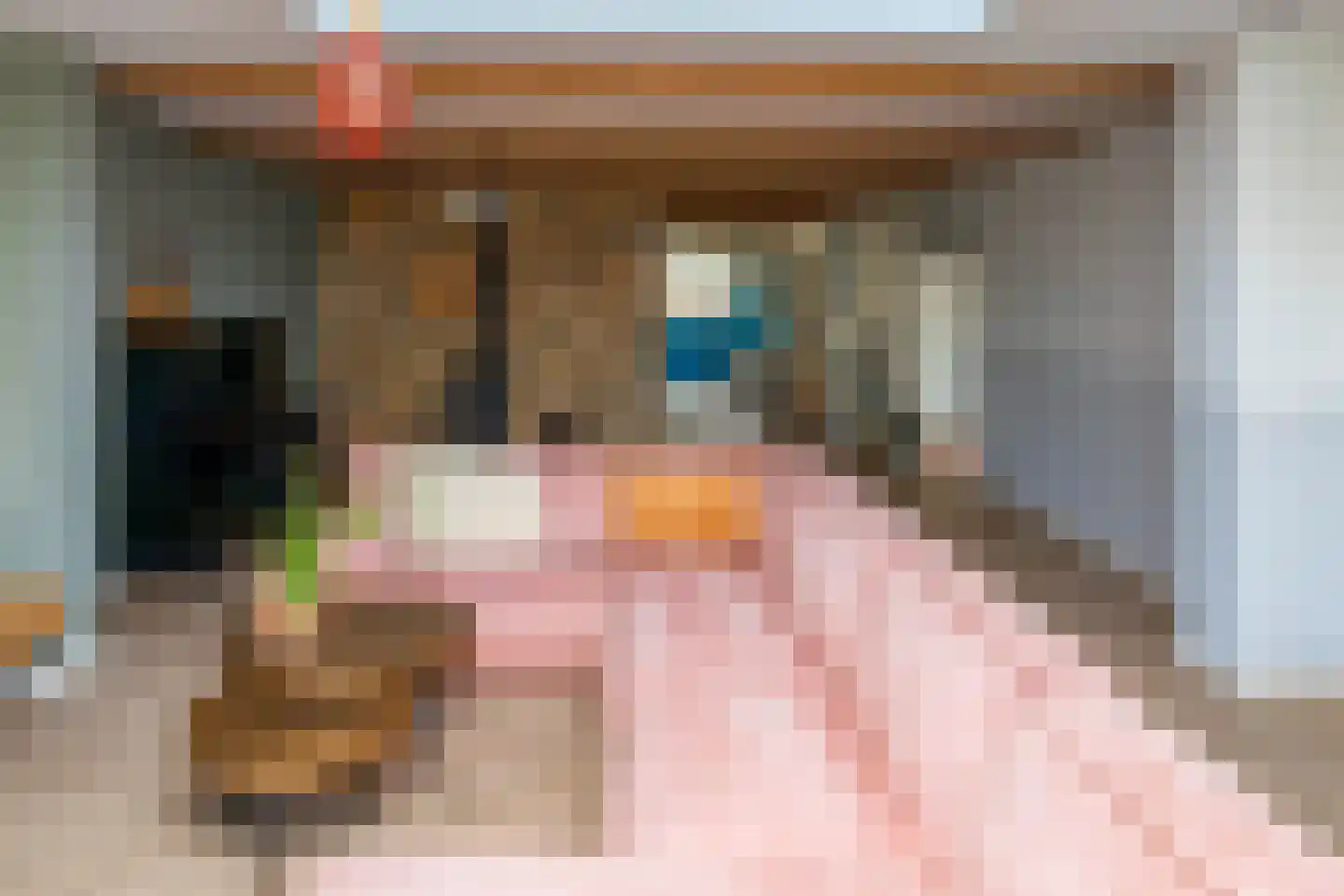Kerkdwarsstraat 4 Kesteren thumbnail 32