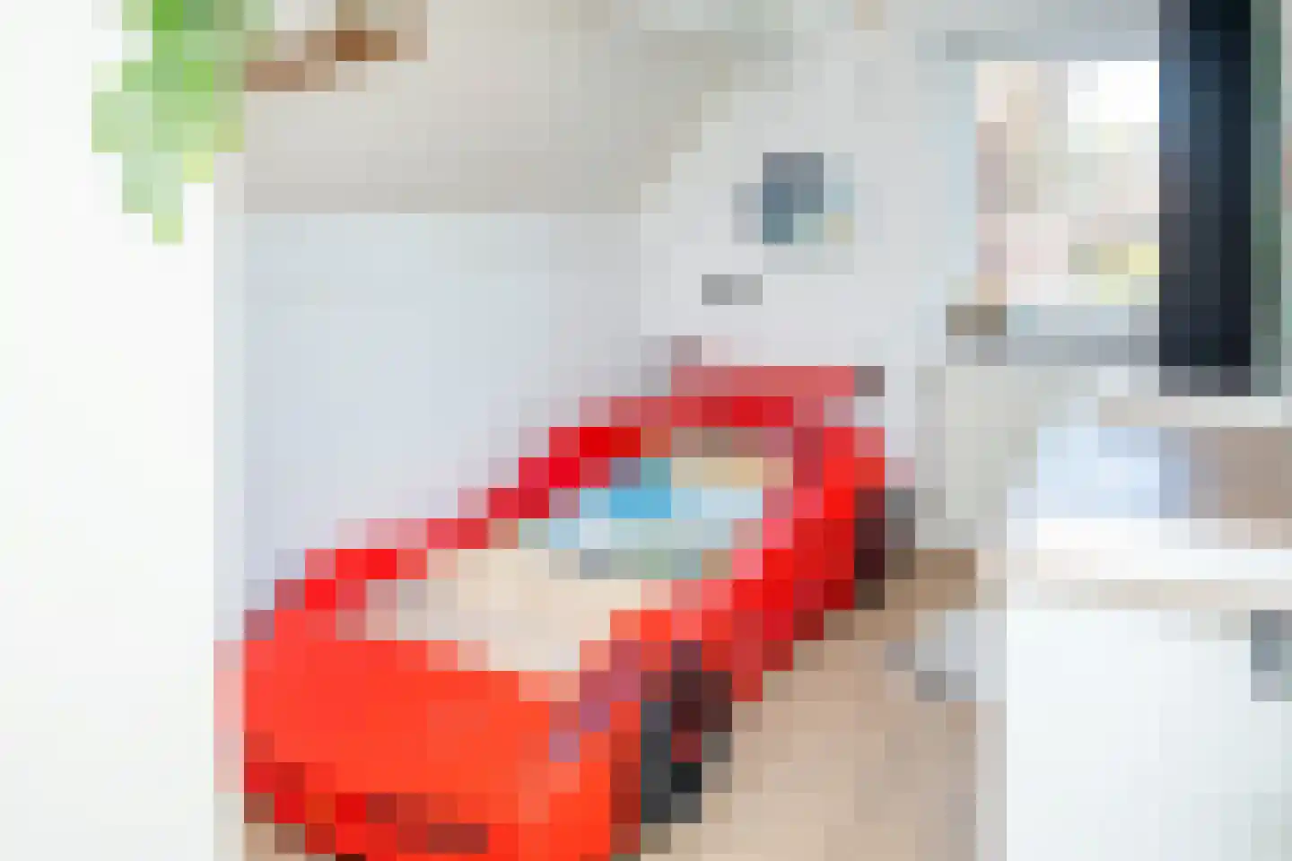 Kerkdwarsstraat 4 Kesteren thumbnail 43