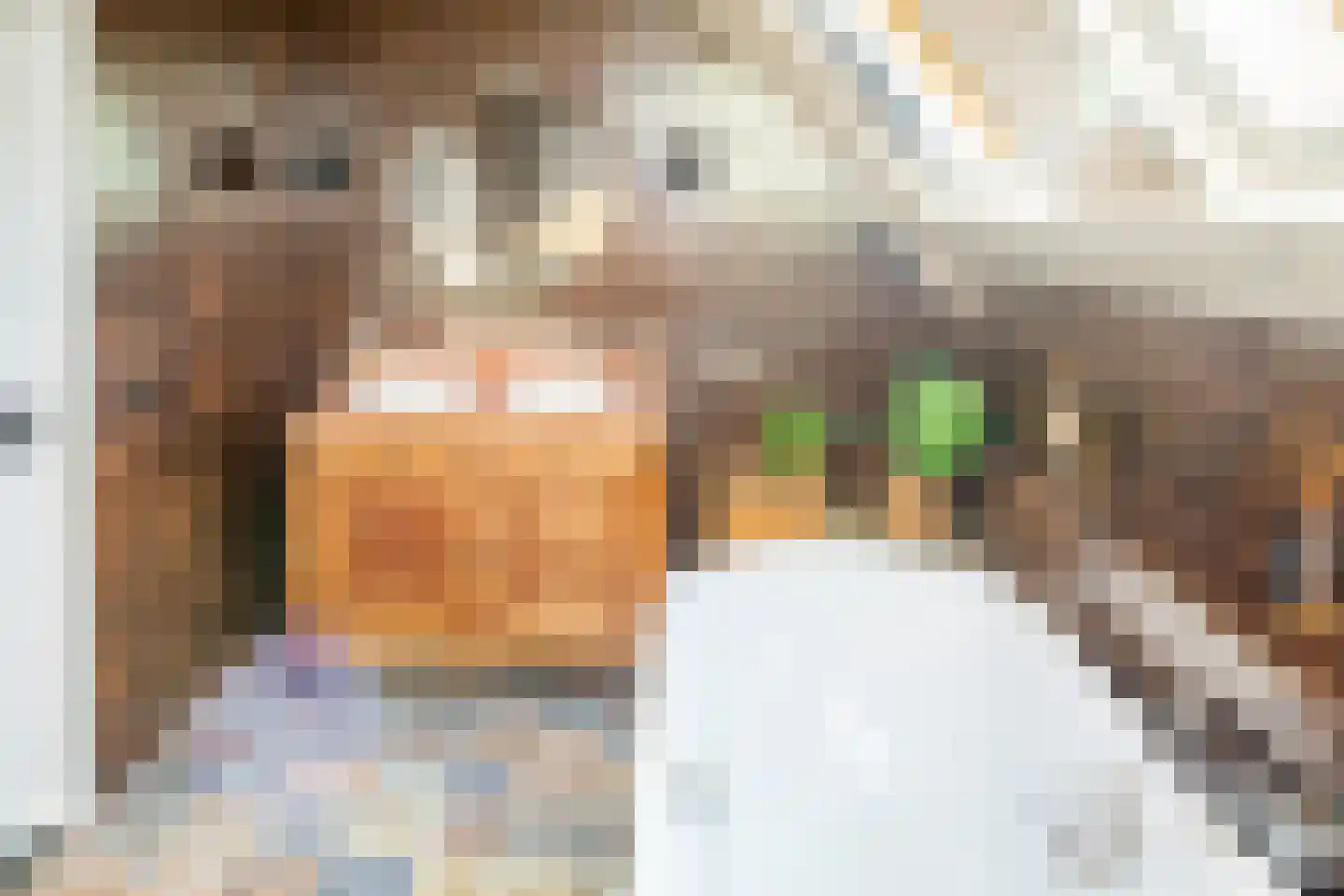 Kerkdwarsstraat 4 Kesteren thumbnail 46