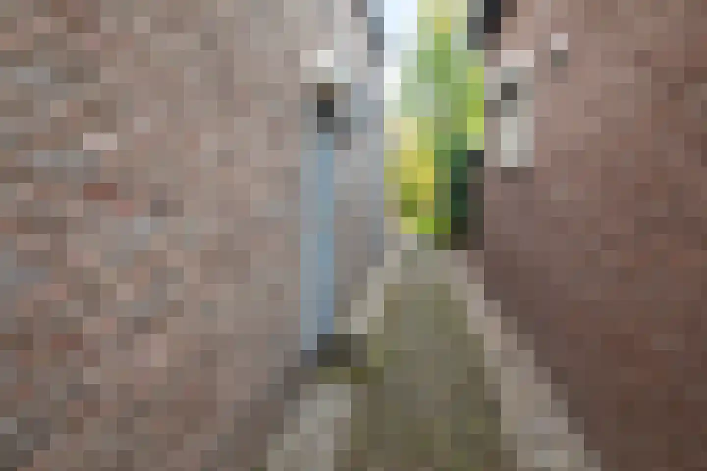 Kerkdwarsstraat 4 Kesteren thumbnail 50