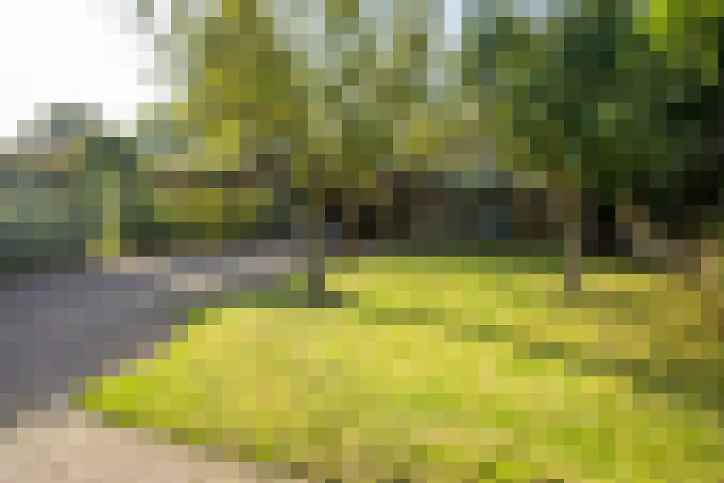 Kerkdwarsstraat 4 Kesteren thumbnail 52