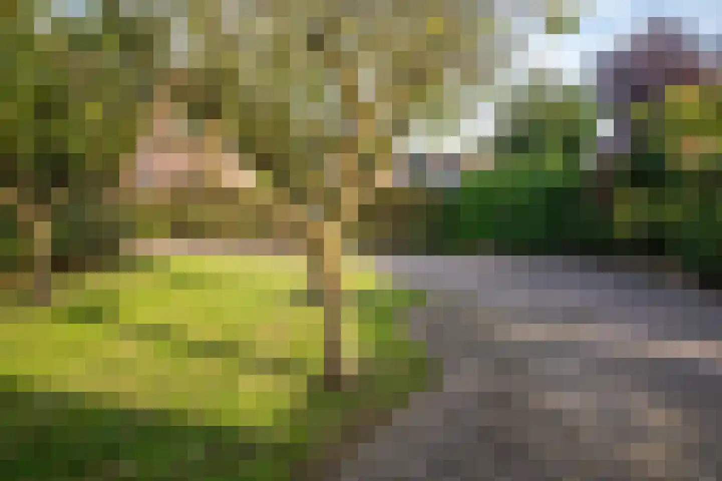 Kerkdwarsstraat 4 Kesteren thumbnail 54