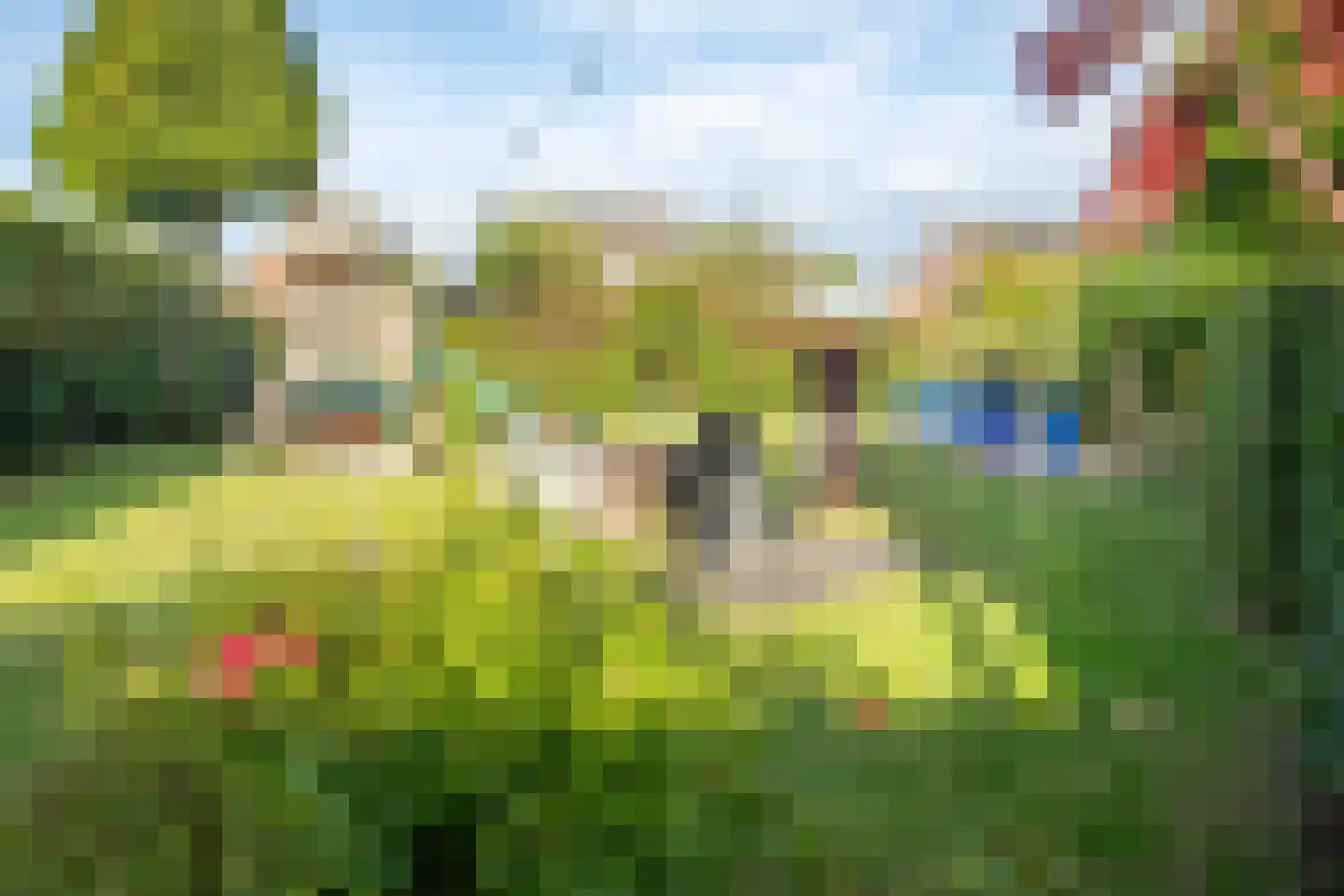Kerkdwarsstraat 4 Kesteren thumbnail 60