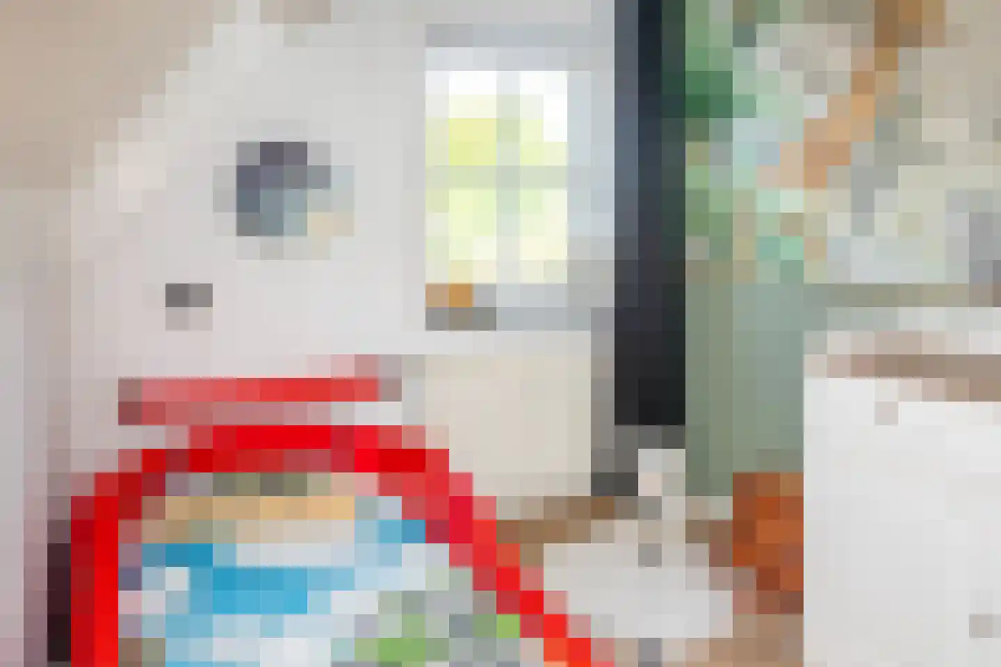 Kerkdwarsstraat 4 Kesteren thumbnail 88