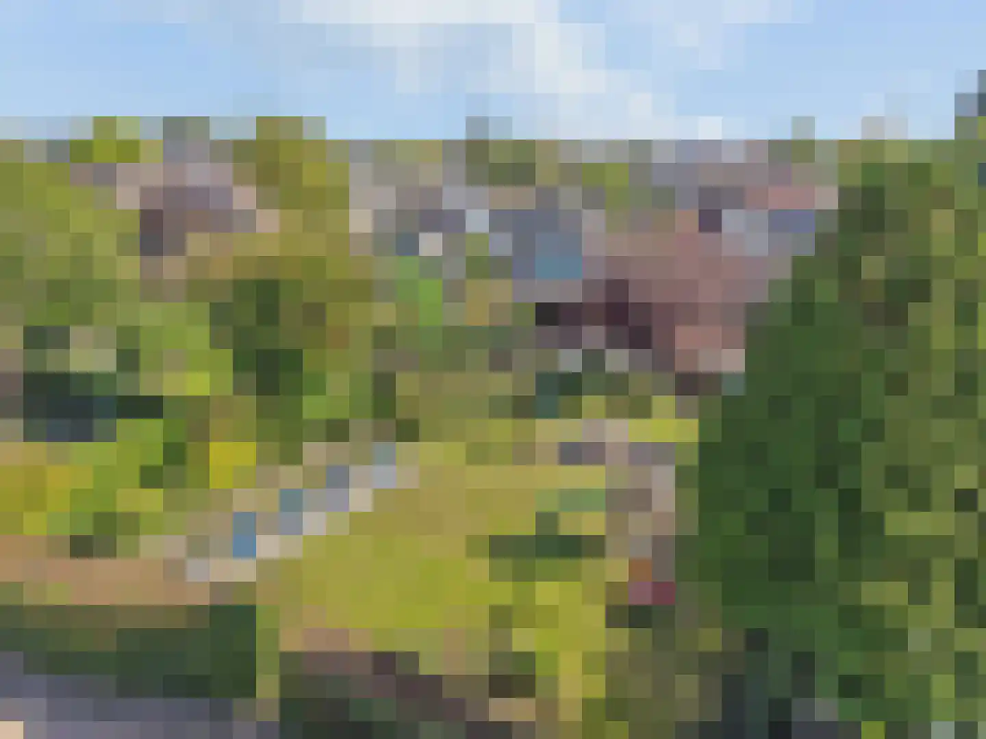 Kerkdwarsstraat 4 Kesteren thumbnail 9