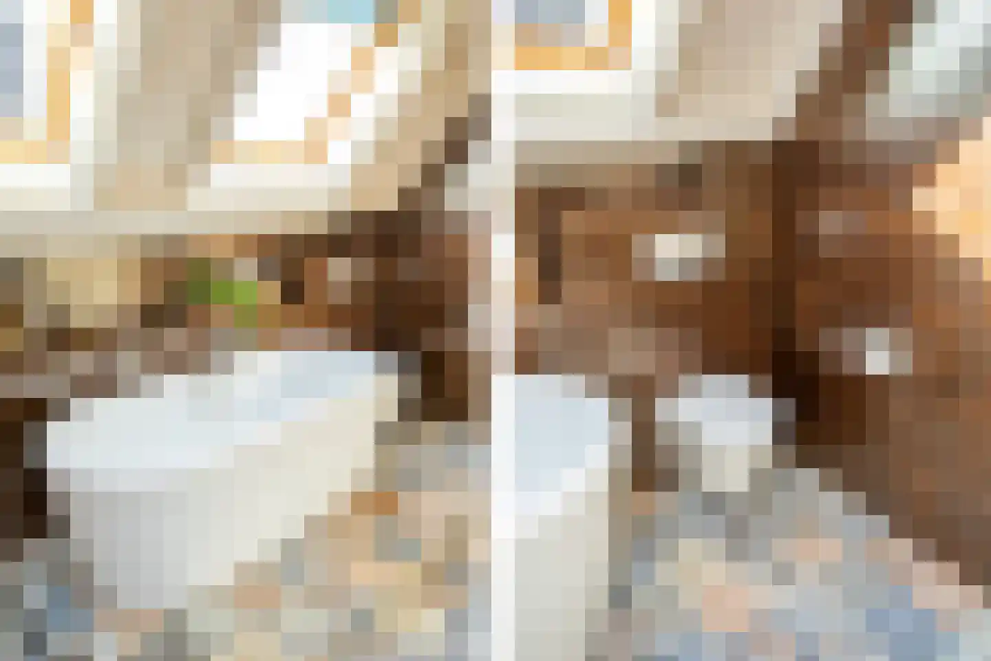 Kerkdwarsstraat 4 Kesteren thumbnail 91