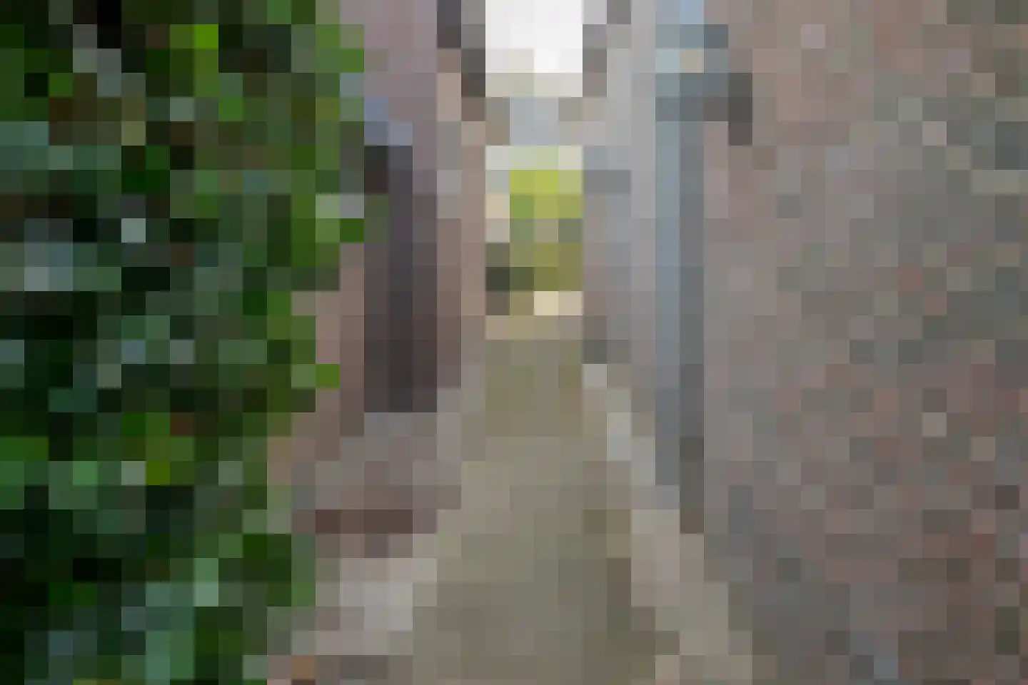 Kerkdwarsstraat 4 Kesteren thumbnail 94
