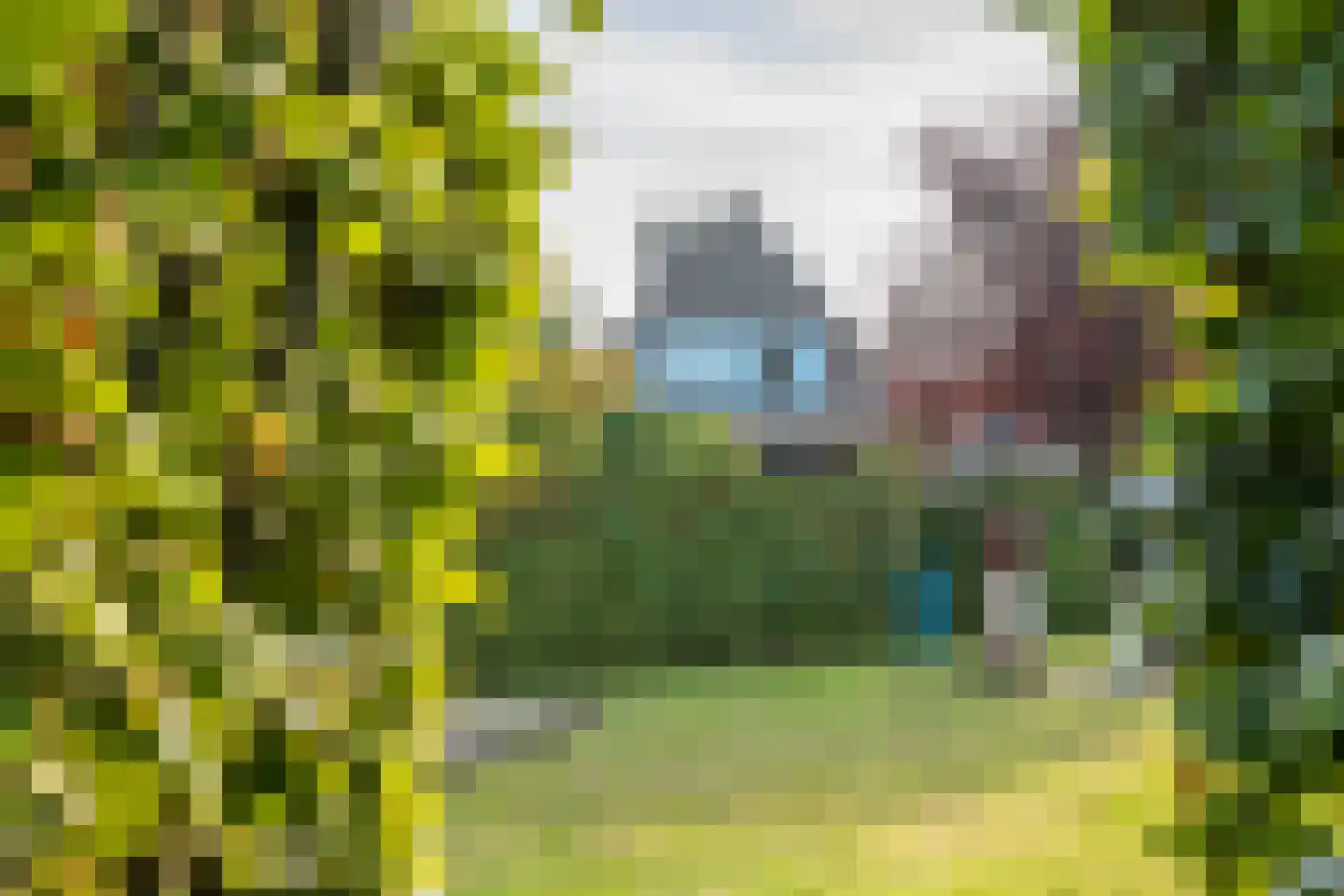 Kerkdwarsstraat 4 Kesteren thumbnail 95