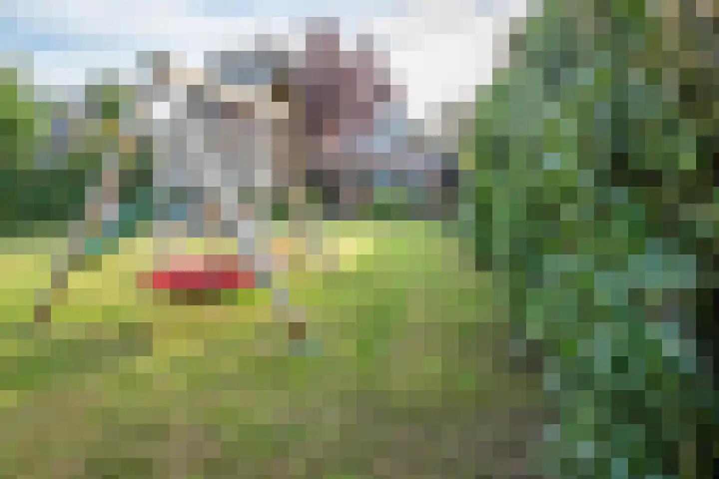 Kerkdwarsstraat 4 Kesteren thumbnail 98