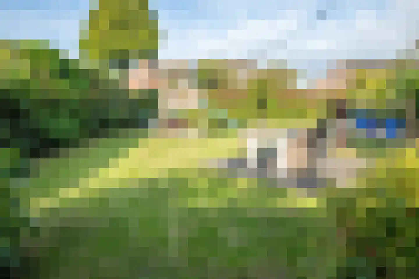Kerkdwarsstraat 4 Kesteren thumbnail 99