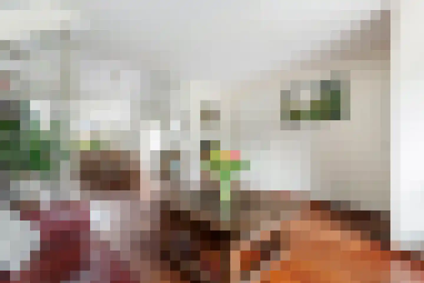 Kerkeakker 2 Herveld thumbnail 13