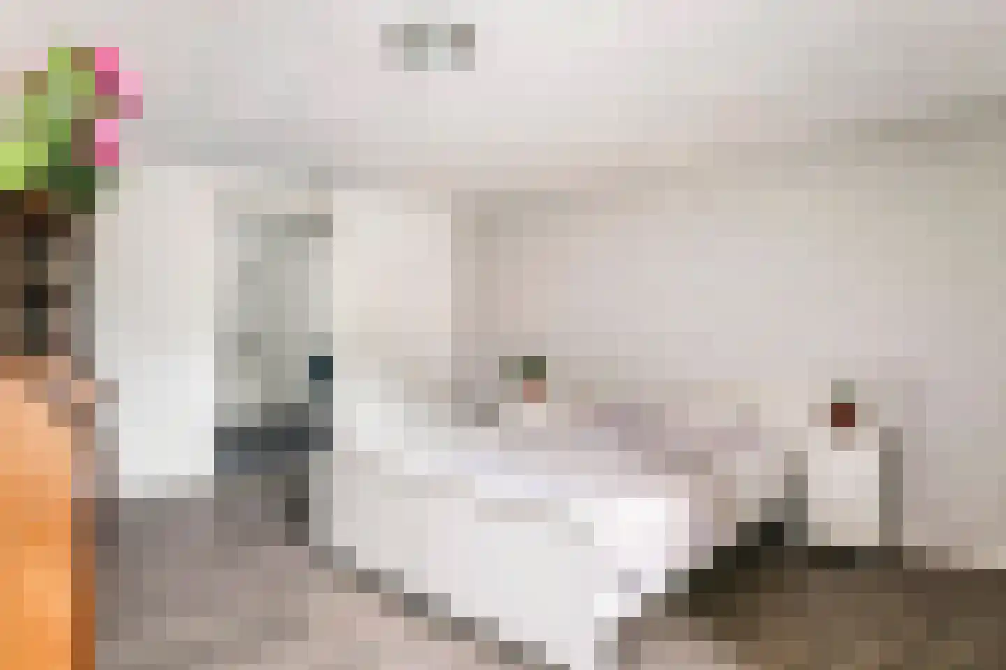 Kerkeakker 2 Herveld thumbnail 24