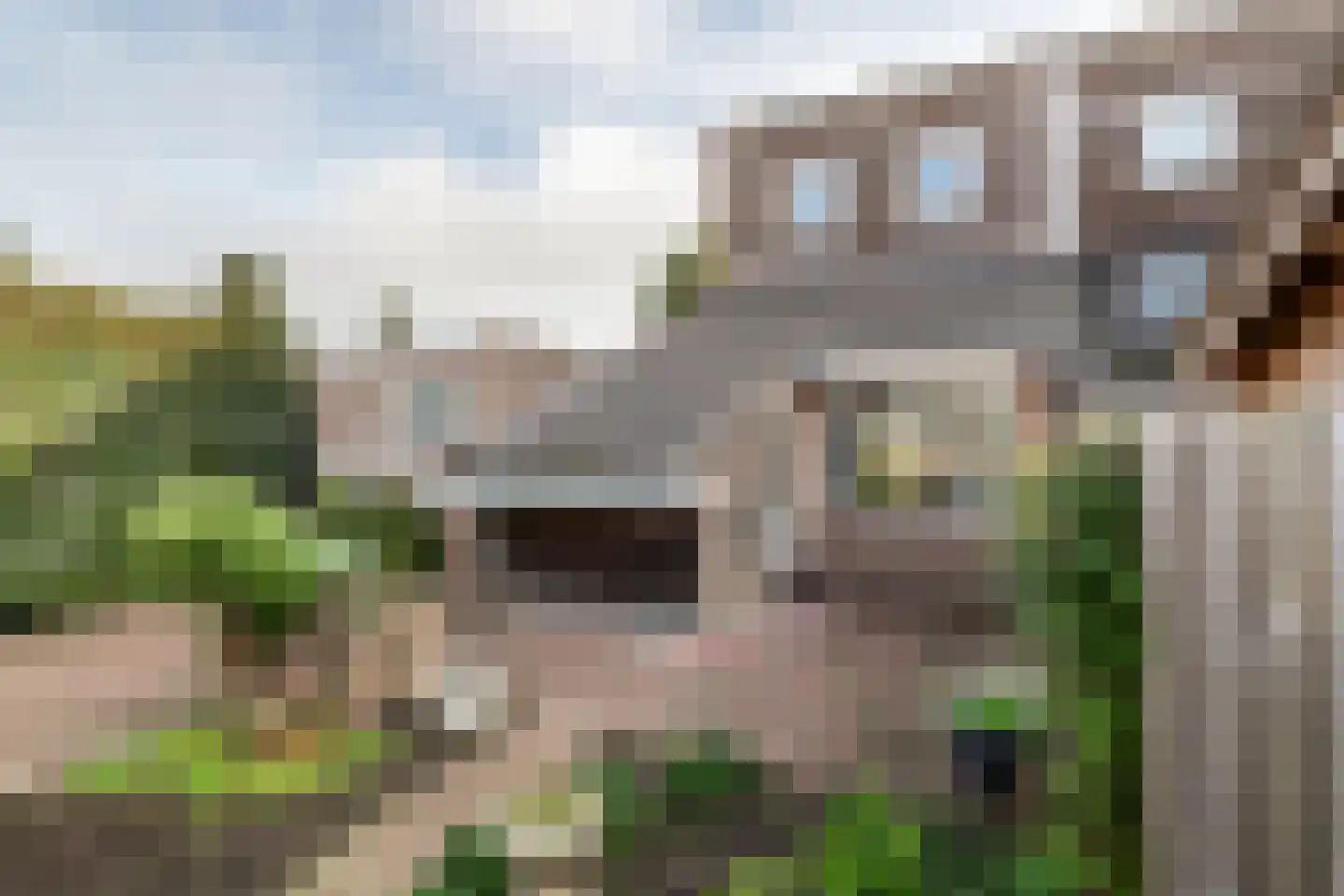 Kerkeakker 2 Herveld thumbnail 6