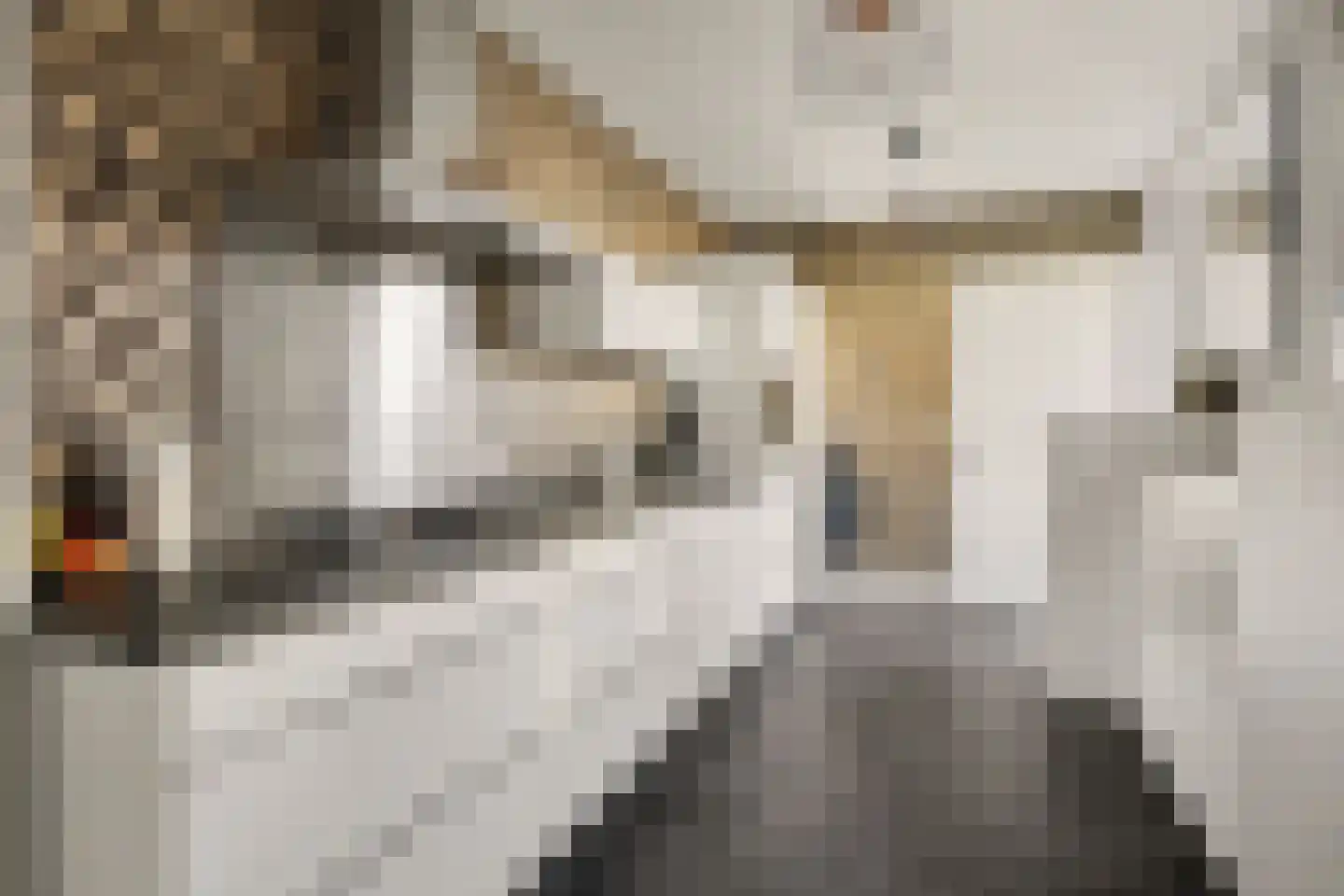 Kerkeblokstraat 14 Sint-Annaland thumbnail 11