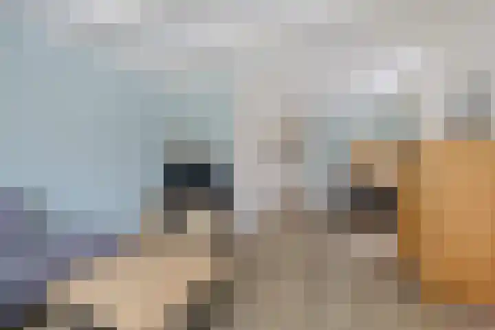 Kerkeboeren 28 Gerkesklooster thumbnail 13