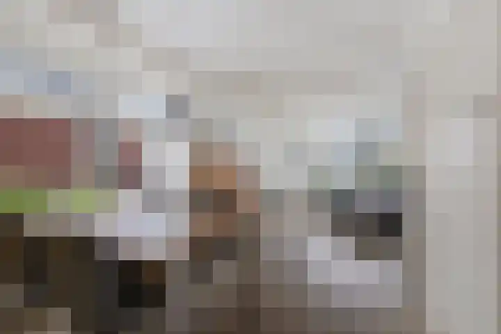 Kerkeboeren 28 Gerkesklooster thumbnail 7
