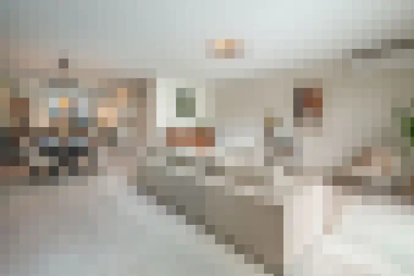 Kerkebogerd 14 Tull en 't Waal thumbnail 15
