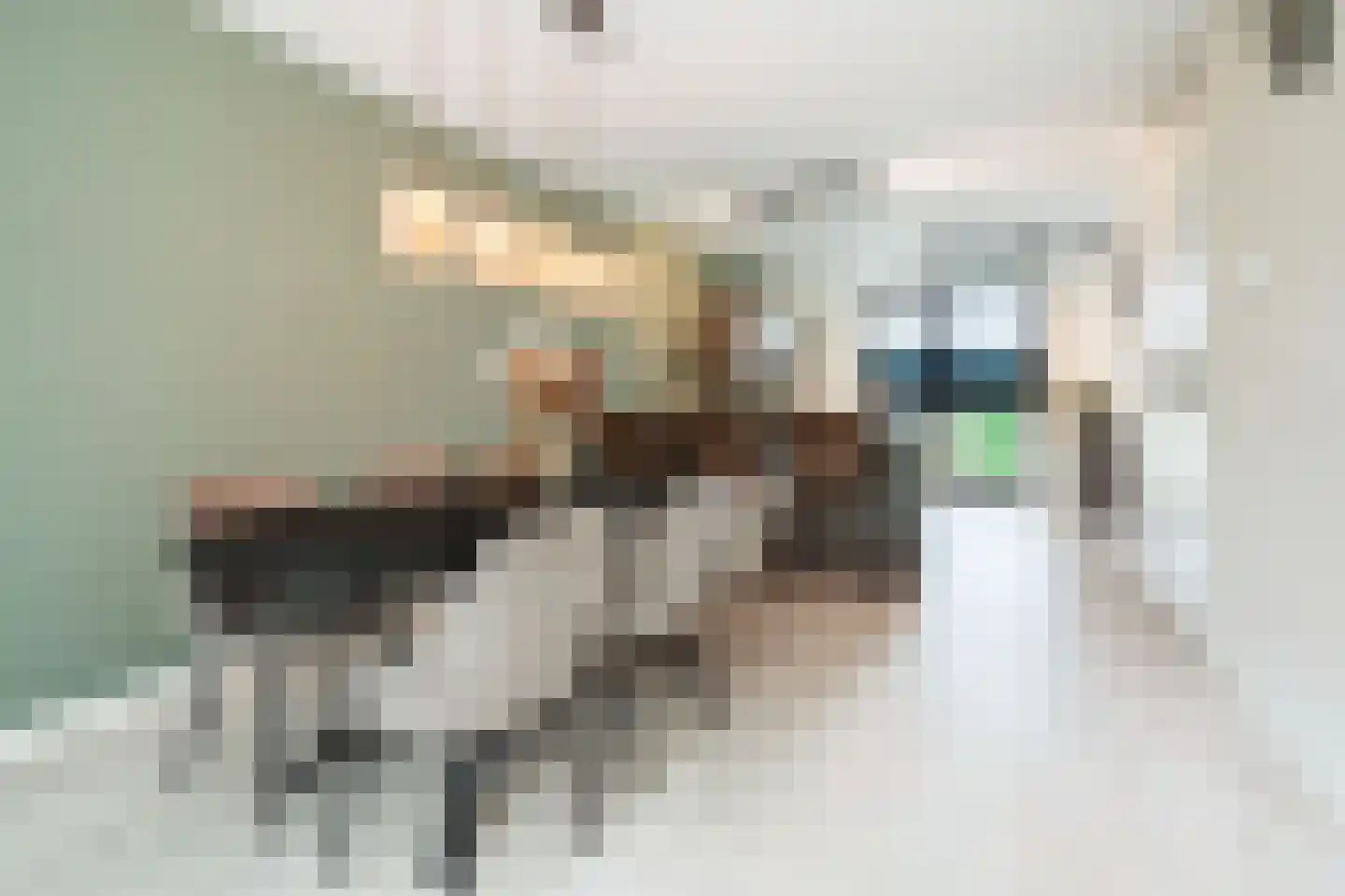 Kerkebogerd 14 Tull en 't Waal thumbnail 16