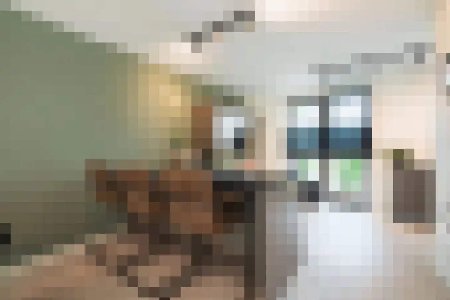Kerkebogerd 14 Tull en 't Waal thumbnail 17