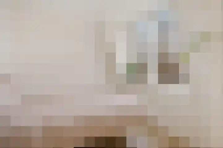 Kerkebogerd 27 Tull en 't Waal thumbnail 14