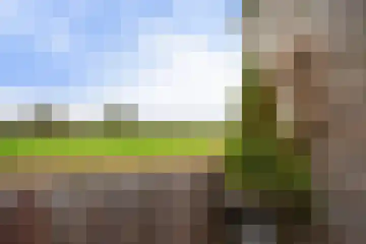 Kerkebogerd 27 Tull en 't Waal thumbnail 26