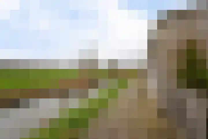 Kerkebogerd 27 Tull en 't Waal thumbnail 27