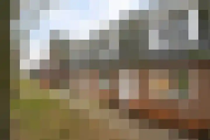 Kerkebogerd 27 Tull en 't Waal thumbnail 28