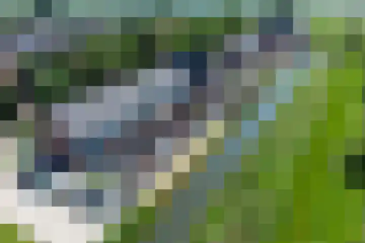 Kerkebogerd 27 Tull en 't Waal thumbnail 31