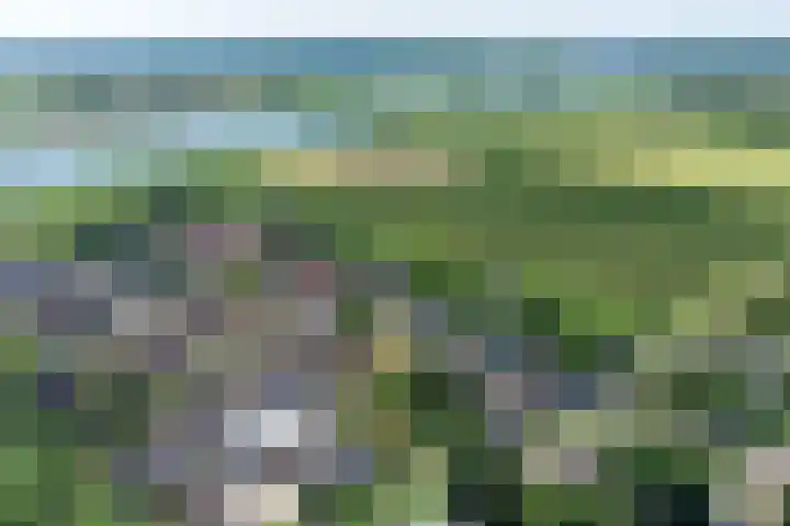 Kerkebogerd 27 Tull en 't Waal thumbnail 35