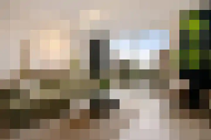 Kerkebogerd 27 Tull en 't Waal thumbnail 4
