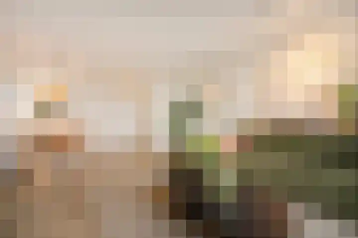 Kerkebogerd 27 Tull en 't Waal thumbnail 6