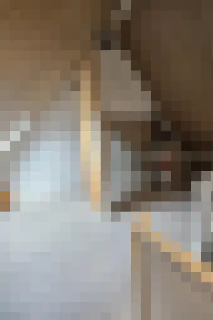 Kerkebogerd 29 Tull en 't Waal thumbnail 42