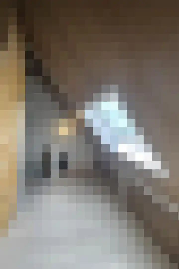 Kerkebogerd 29 Tull en 't Waal thumbnail 45