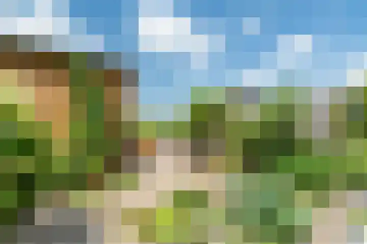 Kerkebogerd 29 Tull en 't Waal thumbnail 48