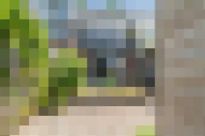 Kerkebogerd 29 Tull en 't Waal thumbnail 49