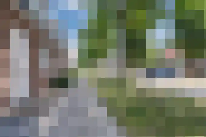 Kerkebogerd 29 Tull en 't Waal thumbnail 5