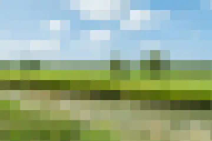 Kerkebogerd 29 Tull en 't Waal thumbnail 51