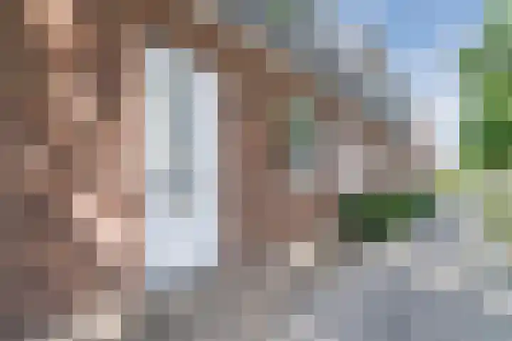 Kerkebogerd 29 Tull en 't Waal thumbnail 6