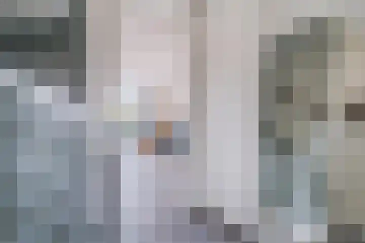 Kerkebogerd 29 Tull en 't Waal thumbnail 7
