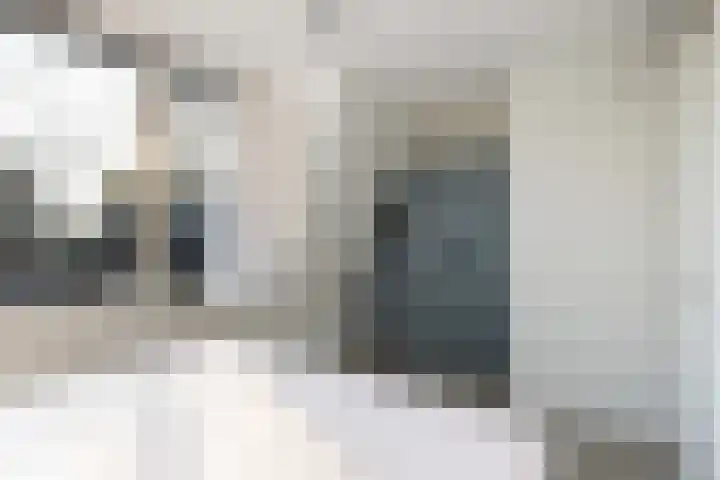 Kerkebogerd 9 Tull en 't Waal thumbnail 15