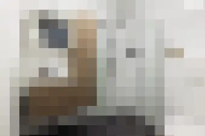 Kerkebogerd 9 Tull en 't Waal thumbnail 16