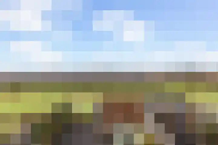 Kerkebogerd 9 Tull en 't Waal thumbnail 21