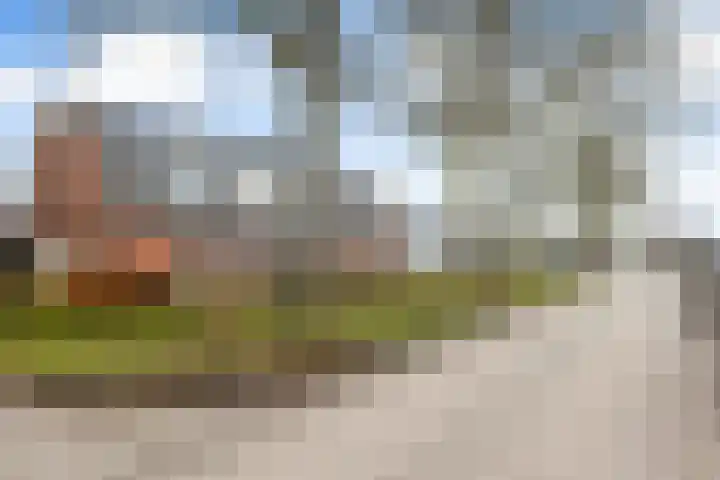 Kerkebogerd 9 Tull en 't Waal thumbnail 24